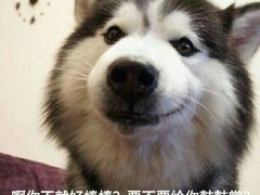 -渝和喵叔米线(南坪万达店)
