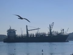 -海驴岛(荣成市)