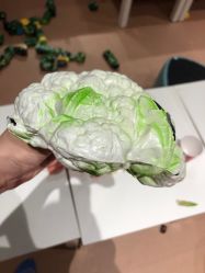 -探奇乐园(全运村中央广场店)