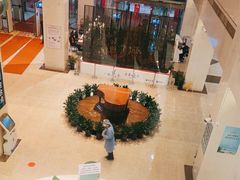 -上海交通大学医学院附属瑞金医院(总院)