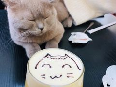 -猫小院猫主题咖啡厅(北锣店)