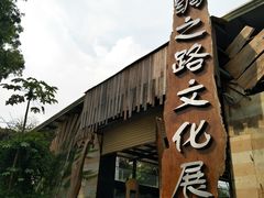 -大屏嶂森林公园