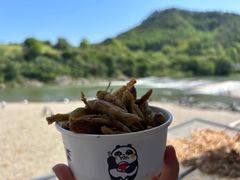 -渔梁坝