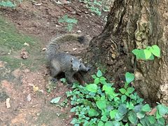 -昆明市金殿名胜区