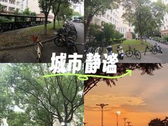-东华大学(松江校区)