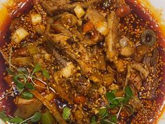 -院8里·少城记忆老川菜(宽窄巷子店)