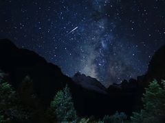 -阿男野栗王(金门路店)