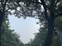 -惠山国家森林公园