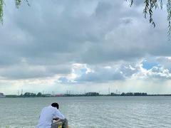 -漕湖湿地公园