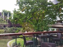 -上海虹桥宾馆味翠餐厅