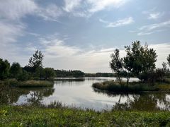 -东郊湿地公园