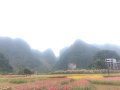 -靖西鹅泉风景区