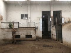 -成都动物园