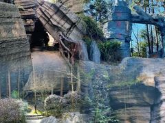 -梭布垭石林景区