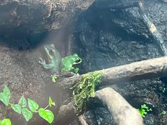 -广州长隆飞鸟乐园