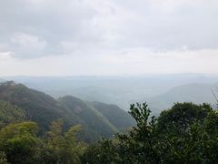 -莫干山风景区