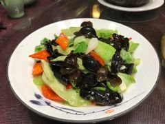 -陈厨老家菜馆(新苑店)