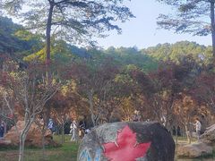 -广州市帽峰山景区