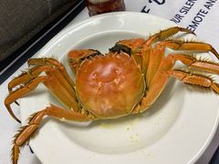 -黄记大闸蟹专卖店·活蟹·醉蟹