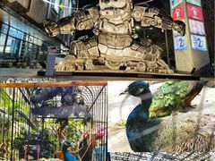 -凯德广场(学府店)