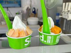 -Salud撒露欧洲冻酸奶(蓝色港湾店)
