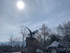 -北京鹫峰国家森林公园