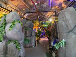 -恐龙探索乐园(磁器口店)