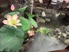 景观位-一味大院•桐庐菜传承店(春江路店)
