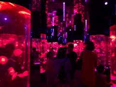 -成都浩海立方海洋公园