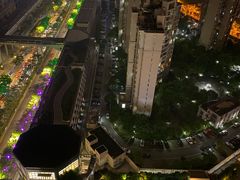 -但家香酥鸭