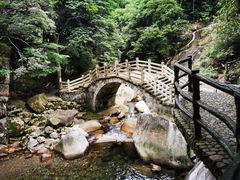 -大鄣山卧龙谷景区