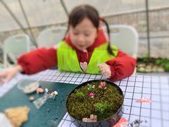 -嘉北郊野公园