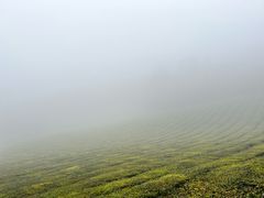 -敬亭山风景名胜区