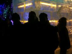 -长春公园(普阳街道)