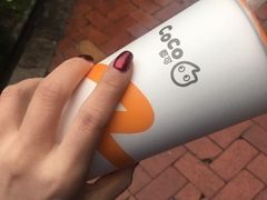 -CoCo都可(港惠北区二楼店)