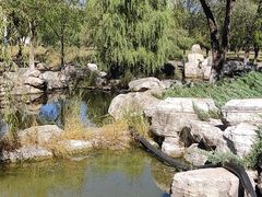 -太阳宫公园