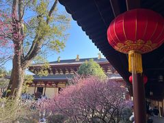 -庐山风景名胜区-东林大佛