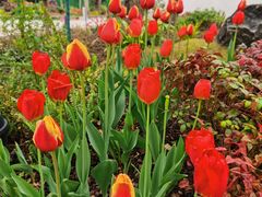 -徐家汇源景区-衡山公园