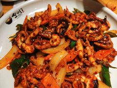炒八爪鱼-全州拌饭(参花街总店)