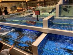 -渔人码头(中南店)