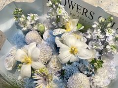 -Tomacado花厨(One ITC店)