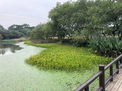 -八卦田遗址公园