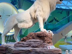 -陕西自然博物馆