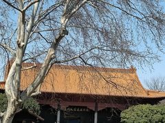 -明故宫遗址公园