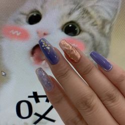 -恐龙·美甲美睫