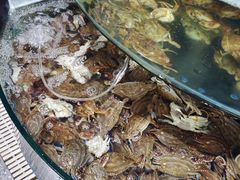 -蓝珊甄选海鲜自助·火锅大排档(近阿那亚店)