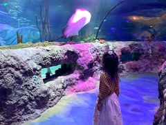 -沈阳海洋探索中心