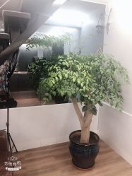 -印·Style造型创始店