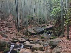 -莫干山风景区
