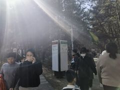 -帽儿山国家森林公园